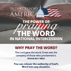 Free Resource